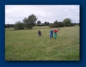 I'll get a better bearing if I point up!